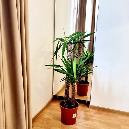 Heart Of History - Steps 2 Old Town & Metro